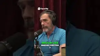 Unleash the Power of Quercetin for Youthful Health! #joerogan #jre #comedy