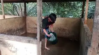 sterilsasi kandang b2 sebelum masuk bibit baru #peternakan #peternakbabi #babibesar #peternakmuda