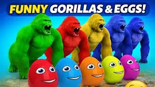 Colorful Gorillas 🦍 Surprise Eggs 🥚 | Funny Cartoon for Kids | Toon Magic