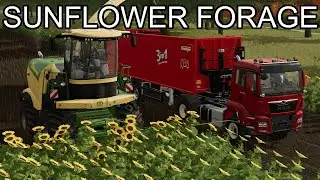 THIS ACTUALLY WORKS? / The Old Stream Farm / Day 3