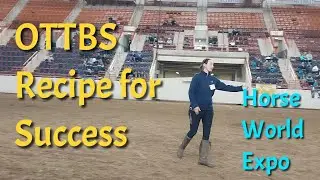 Retraining Thoroughbreds: A recipe for success- finding calm connection