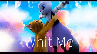 Gato con botas x Dulcinea 「AMV」- Whit me Las Aventuras del Gato con Botas