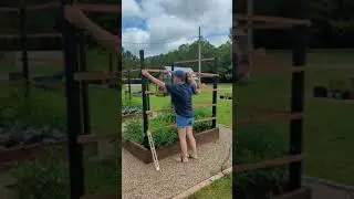 I used 2x4's and furring strips to create an inexpensive but sturdy trellis.