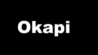 How to pronounce okapi | Learn English Fast | Lesson 360