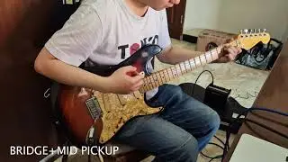 Fender Strat® Plus USA1996 (demo)