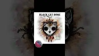 BLACK CAT BONES NEW