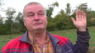 Zveri migriraju