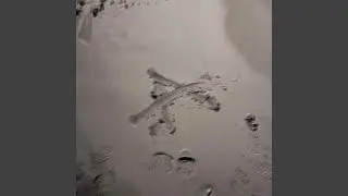 Trip