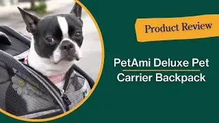 Review: PetAmi Deluxe Pet Carrier Backpack