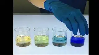 Live Testing of pH Test Liquid Drops for Water pH Testing Wellon