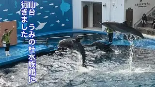 まるおの母　まるこの宿根草と低木の庭　2025 01 11  氷が張らなかった庭。野鳥観察もそこそこに、仙台うみの杜水族館🦭🐟に行って来ました。イワシのショー、イルカのジャンプ🐬　素晴らしかったです💞