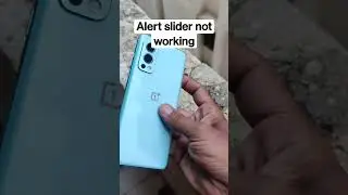 One Plus Nord 2 alert slider not working