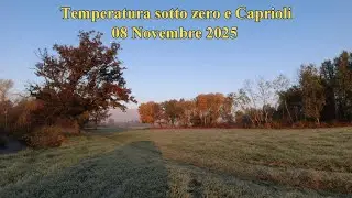 Temperatura sotto zero e Caprioli 08 Novembre 2025.