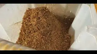 Maximizing Wood Chips' Potential: Moisture Reduction and Mold Eradication with ADAR Technologies