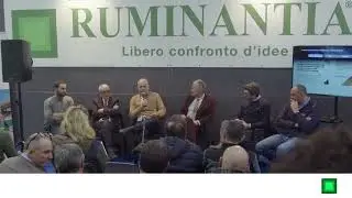 Come gestire l'aumento dei costi di alimentazione dei bovini da latte?