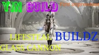 Paragon Yin Build/First Impressions