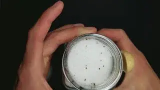 Truffle Salt - Best Salt Ever??