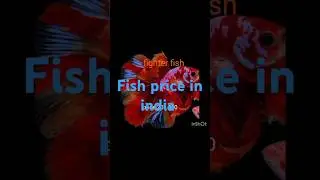 Fish price in india . Part 2 #aqascape