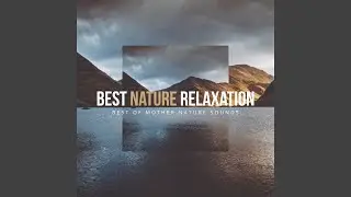 River Flows and Birds Sing