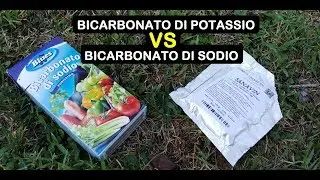 DIFFERENZA BICARBONATO DI SODIO E DI POTASSIO