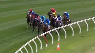 Ваза Moonee Valley 2025 &mdash; OBSERVER (3 года, SW G2), группа 2, Moonee Valley, 25 октября