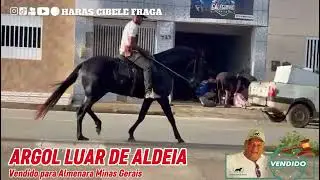 ARGOL LUAR DE ALDEIA vendido para Amenara Minas Gerais #almenaraminasgerais