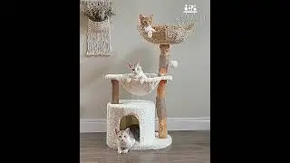 The Ultimate Cat Haven in One Chic Tree! 🐾