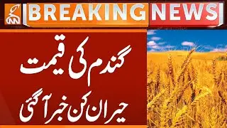 Shocking News regarding Wheat Prices | Breaking News | GNN