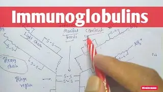 Immunoglobulins | Antibody - Structure |  Type of Immunoglobulins  | Biochemistry