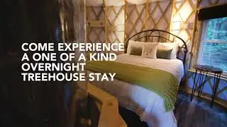 Introducing: Sonoma Treehouse Adventures