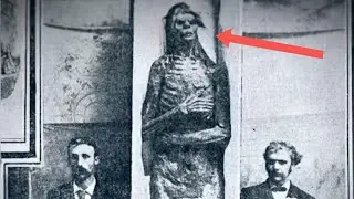 Exploring the Mystery of Ancient Giants: The Patagones