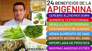 24 BENEFICIOS 🌿🌼APIGENINA TESTOSTERONA💪NEUROPROTECTOR🧠 OJERAS 👀LONGEVIDAD👏NAD😱GABA INSOMNIO🙆ANTIOX❤️
