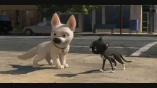 Stand - Bolt AMV