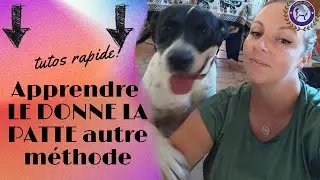 donne la patte: 2 méthodes différentes et facile
