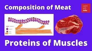 Meat composition (4.4): Prof. Mandal PK