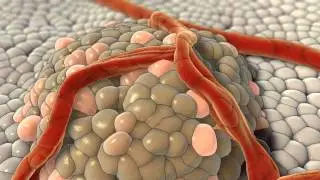 Cosmocyte Medical animation demo 2011