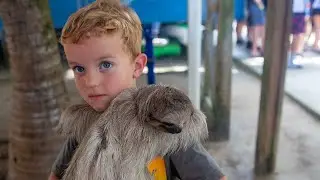 How to hug a Sloth, Roatan Island, Honduras