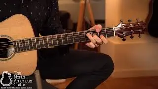 Maestro Custom Series Vera IR SB Acoustic Guitar Played By  Brian Love