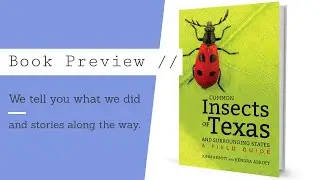 Common Insects of Texas Book PREVIEW!!