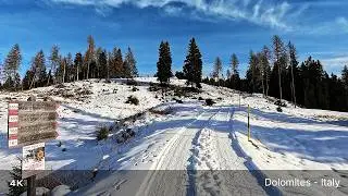 Silent Winter Walk in the Dolomites | Snowy Path & Natural Sounds (4K ASMR)