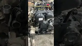 Замена двигателя Ford Kuga
