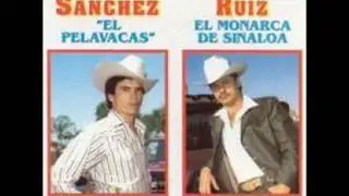 El Monarca De Sinaloa- Tu Nuevo Cariñito