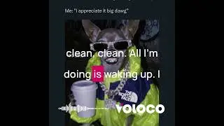 So fresh so blessed #god #blessed #viral #artist #dog #viral #shorts #music #freestyle #hiphopmusic