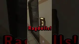 The Funniest Ragdoll!