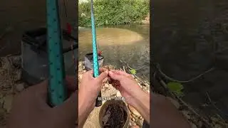 &ldquo;Countryside Morning Fishing Catching Big Fish in Village Nature&rdquo;