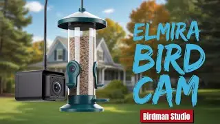 Southern Tier New York Live Bird Cam - Live Bird Cam - Live Nature cam