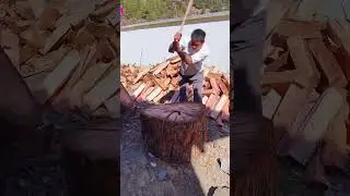 splitting large wood log using sharp axe