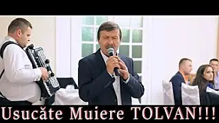Usca-te Muiere Tolvan si Lautarii