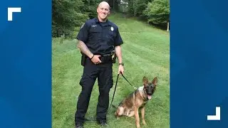 Dashcam video shows crash that pinned Grand Rapids Police Officer, seriously hurt K9