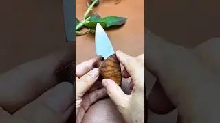 #Fruit Knife#meatknife #Good Knife Recommendation #kitchenknife #knifereview#goodknife #share #video